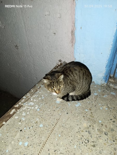 IMG 20250930 195841