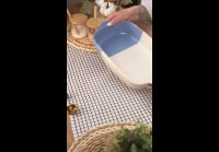 video_103999446