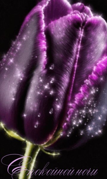 file_98911500