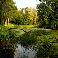 Image (40)