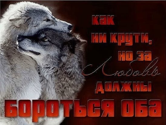Факт