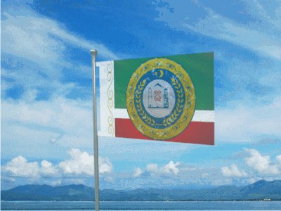 flag (2)