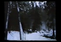 Полнолуние (1993) мистический триллер
