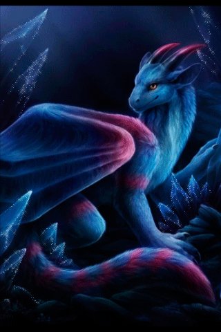 dragon1