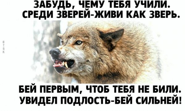Забудь