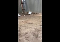 Si la nt eva 1776506030921