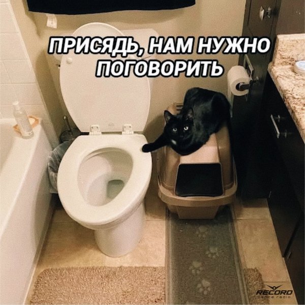 FB IMG 1791300829024