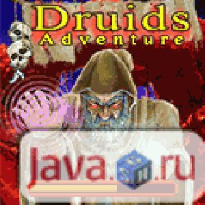 Druid