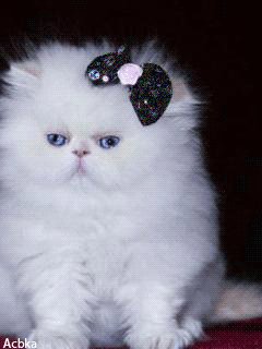 file_57439392