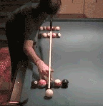 funny gifs catsmob com 02831 005