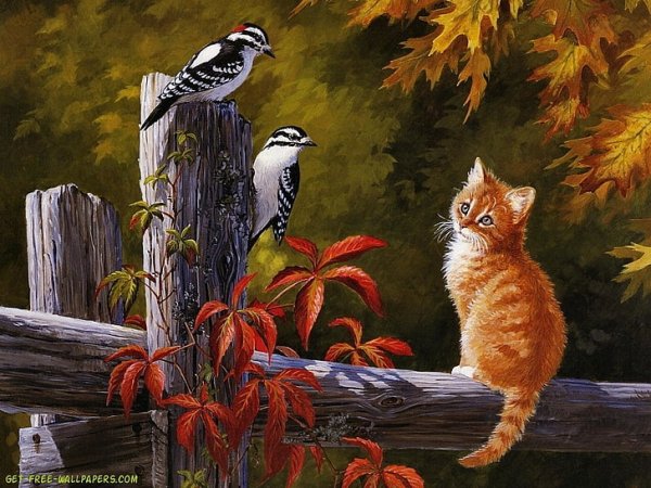 Animal-artistic-brds-cat-wallpaper-preview