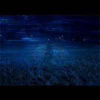 file_89606953