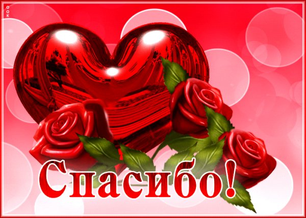 file_99017579