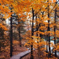 file_103568709