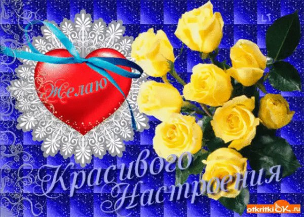 IMG 20170228 172039 41