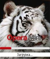 White Tiger