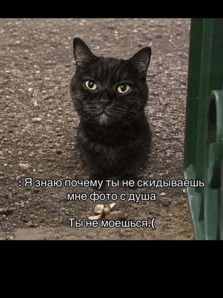 IMG 20260926 163519 944