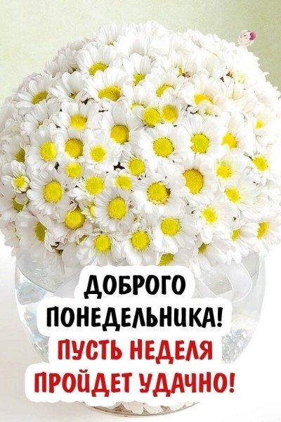 file_90991176