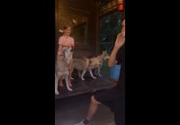 video_105348559