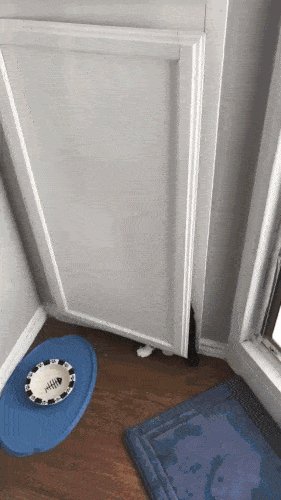 ))