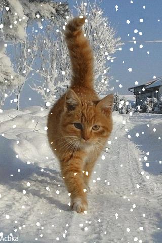file_80336842
