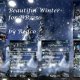 Beautiful Winter