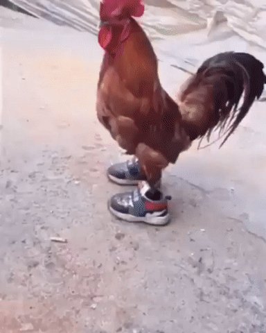 Первый парень на селе!))