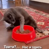 IMG 20220309 021528