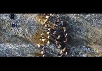 Славянские богатыри!!!!мощная мотивация!!обязательна к просмо