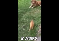 VID-20250222-WA0018