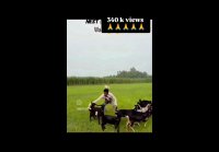 VID 20261002 104805 235