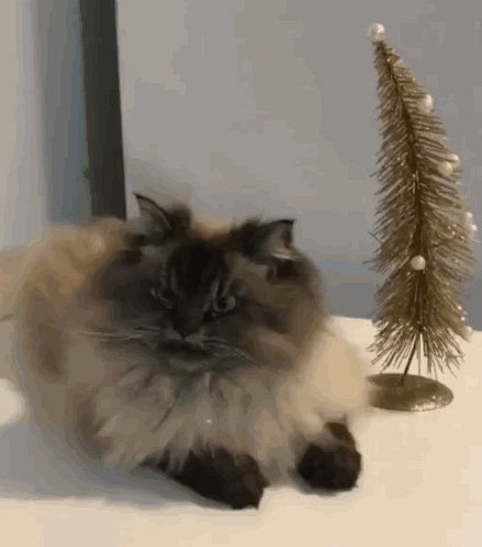 Ну, как там твое новогоднее настроение?