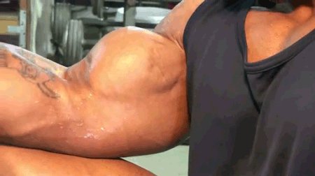biceps