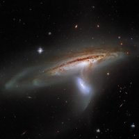 Arp 282