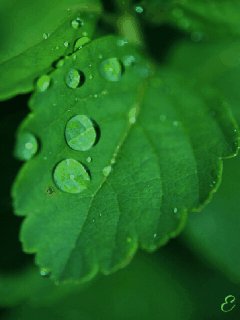 file_73079888