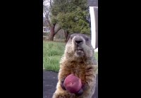 VIDEO 1632918959337