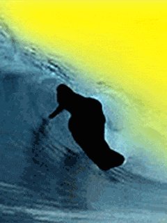 Surfer