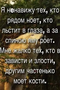 Волк