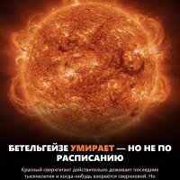 file_103169163