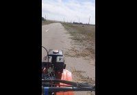 video_108398187