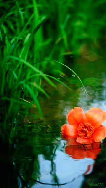 file_51943049