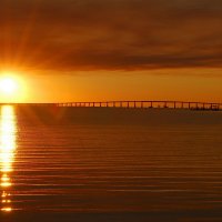 file_102984243