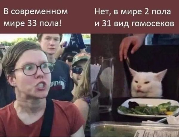 IMG 20261008 150825