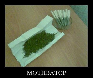 Басня про наркомана Заица