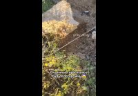 VID 20260506 215707 012