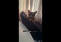 Можно вон тот кусочек колбасоньки