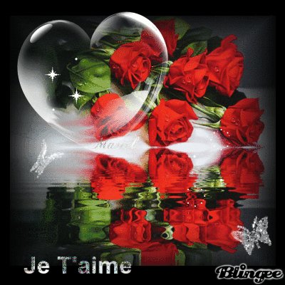 file_94530525