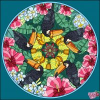 HappyColor 27161