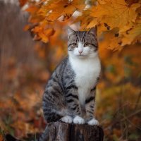 file_103587672