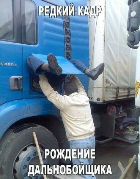 F1123a14fafd7fc121576d46ae45ed0b